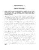 Pakistan’s Economy - Budget Anlysis