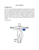 Ecg System