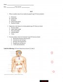 Anatomy Test Questions only