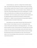 Green Taxation for Companies