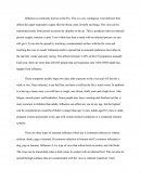 Influenza Flu Essay