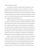 Big Data: More Disadvantages Than Advantages? (dutch)