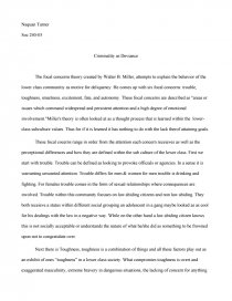 deviance essay