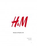 Financial Analysis of Hennes & Mauritz Ab