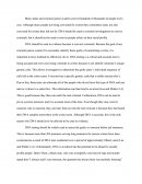 Position Essay