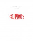 Du Pont Case Study