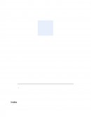 Imigration Research Paper