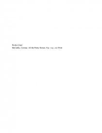 all the pretty horses essay