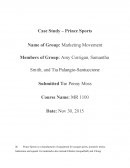 Prince Sports Marketing Movement