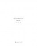 Cracking the Whip - Analysis of Management Systems