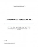 Human Development Index