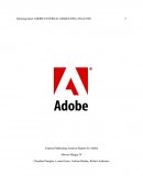 External Marketing Analysis Report for Adobe