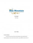 Blue Mountain Coffee Case Analysis