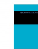 Magneto Mall, Raipur Case Study