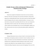 Healthy Streams at Risk of Detrimental Pollutants from Abandoned Mine Drainage