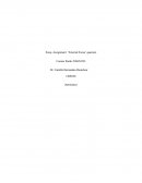 External Views as a Result of Colonialism in the Caribbean