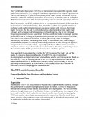 World Trade Organisation Essay