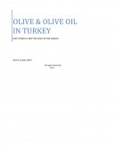 Olive & Olive Oil in Turkey - Why Turkey Is Not the First in the World?