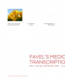 Home Business in Medical Transcription - Business Plan Created