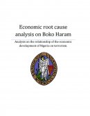 Economic Root Cause Analysis on Boko Haram