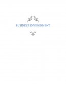 Report on Contrasting Businesses