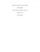 Bio 201 Introduction to Biology 1, Section 53