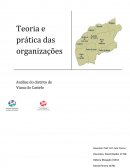 Theory and Practice of Organizations - Analysis of Viana Do Castelo District (portuguese)