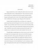 The Raven Essay