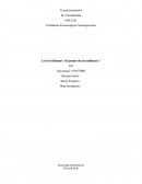 Ecn 2311 - La Loi El Khomri : Un Projet De Loi Inefficace ?