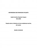 Reporte Sobre El Deterioro De Los Ecosistemas Marinos Del Mundo