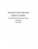 Dynamics of the Wage Gap