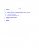 Zara - Caso De Estudio (marketing)