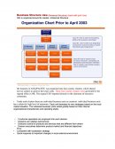 Business Structure View - Divisional Structure