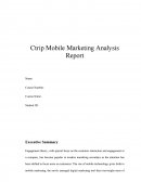Ctrip Mobile Marketing Analysis