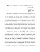 Microarray in Determining Anitimicrobial Drugs