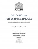 Exploring Hrm Performance Linkages