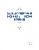 Sales & Distribution of Coca-Cola & Hector Beverages