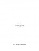 Smgt 399 Organizational Analysis Paper