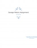 Savage Motors Assignment