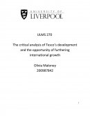 The Critical Analysis of Tesco’s Development and the Opportunity of Furthering International Growth