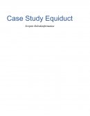 Case Study Equiduct