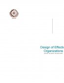Wipro Technologies - Design of Effective Organisation