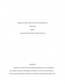 Conceptual and Theoretical Thinking in Nursing