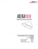 Arenatote Co. Ltd. Business Strategy