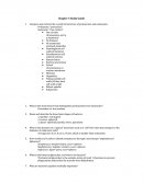 Compare and Contrast the Overall Cell Structure of Prokaryotes and Eukaryotes