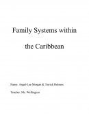 Factor That Influenced Family Systems in the Caribbean
