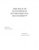 The Role of Economics in Environmental Management