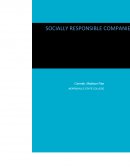 Socially Responsible Companies