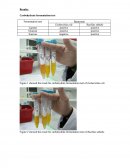 Carbohydrate Fermentation Test