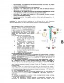 Flow Cytometry